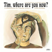 under the bright Cuernavaca sky - Sam Rosenthal & theAdelaidean