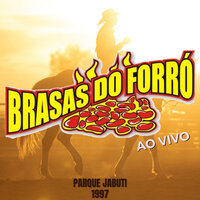 Eu Perdi, Você Me Perdeu - Brasas do Forró
