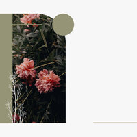 Retro Backdrops for Rejuvenating Seasons - Jazz Vibe Duo