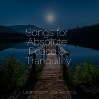 Tides of Delta Waves - Binaural Beats Brainwave Entrainment & Kundalini: Yoga & Echoes of Nature
