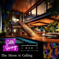 Timeless Embrace of the Night - City Swing