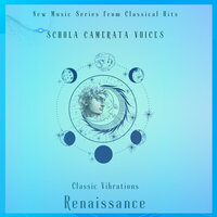 Peccantem Me Quaotidie - Classical Hits & Schola Camerata Voices