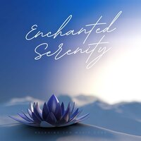 Velvet Echoes - Relaxing Spa Music Zone