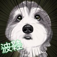 波鞋 - 沈丹丹