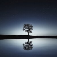 Currents of Calm - Meditación Maestro, Meditação Zen, Meditacion Budista Maestros & Meditación Maestro & Meditação Zen & Meditacion Budista Maestros