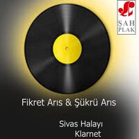 Çifte Telli - Fikret Arıs & Şükrü Arıs