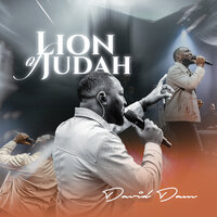 Lion of Judah - David Dam