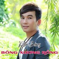 Bông Xương Rồng - Phi Bằng