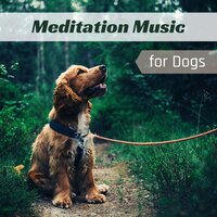 Meditation Music for Dogs - Music for Dogs Collective