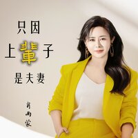 只因上辈子是夫妻 - 肖雨蒙