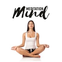 Force of Light - Calm Music Masters Relaxation
