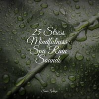 Rain, Glass, Window Pane - Forest Soundscapes & Nature Sounds XLE Library & Soothing Music Academy