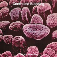 Black Earth Head - Controlled Bleeding