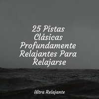 Descansa Ahora - Escola de Meditação & Maestros de música de la meditación & Relajarse
