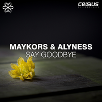 Say goodbye - Maykors & Alyness