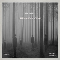 Breed - Fernando Olaya