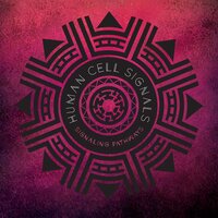 The Force - Human Cell Signals