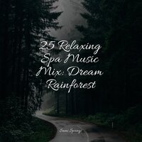 Pouring Rains - Sons da Natureza Relax & Relaxing Mindfulness Meditation Relaxation Maestro & Nature Sounds Radio