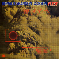 Those Winter Sundays - Ronald Shannon Jackson