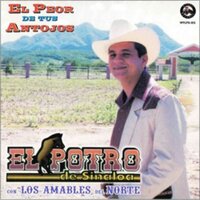 Collar De Guamuchil - El Potro De Sinaloa & Los Amables del Norte & El Potro De Sinaloa feat. Los Amables del Norte