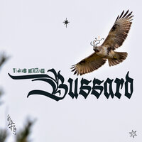 Bussard - TiDUS