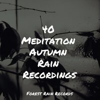Gushing Rains - The Rain Library & Loopable Rain Sounds & Lullaby Rain