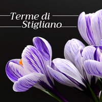 Centro di Energia - Ludovico Allevia