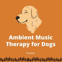 Pet Care Therapy - Calming Music for Dogs & Relaxing Dog Music & Dog Therapy