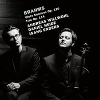 Brahms: Viola Trio, Op. 114: I. Allegro - Daniel Heide & Andreas Willwohl & Isang Enders & Иоганнес Брамс