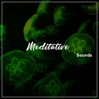 Healing Earth Frequencies - White Noise Relaxation, White Noise for Deeper Sleep, The White Noise Zen & Meditation Sound Lab & The White Noise Zen & Meditation Sound Lab & White Noise Relaxation & White Noise for Deeper Sleep