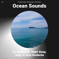 Ocean Sounds Pt. 13 - Nature Sounds & Ocean Sounds & Sea Waves Sounds