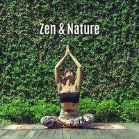 Spiritual Vitamins - Healing Power Natural Sounds Oasis