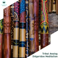 The Orchestral Tribal Ethnic Didgeridoo - Paul Ecstatic Tribal Dance Project
