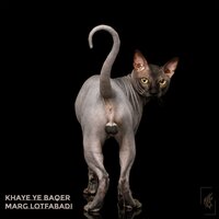 Khaye Ye Baqer - MarG Lotfabadi