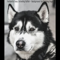 Sunny Ambience for Relaxing Pups - Music for Dogs Collections