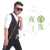 一夜白发 - 刘晓龙