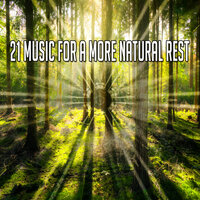 Небесное вознесение - Sounds of Nature Noise