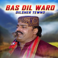Bas Dil Waro - Dilsher Tewno
