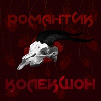 Стены - СД