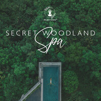 Oceanic Nostalgia - Spa Music Paradise