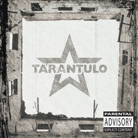 We Will Fight - Tarantulo