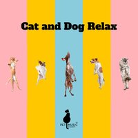 Cozy Holidays - Pet Music Academy