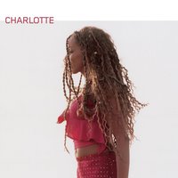 Shelter - Charlotte