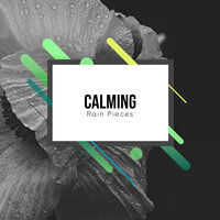 Rain for Concentration - Sample Rain Library, Nature Recordings, Yoga Rain & Nature Recordings & Sample Rain Library & Yoga Rain