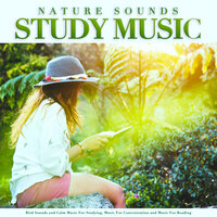 Deep Focus - Study Music & Sounds & Studying Music & Einstein Study Music Academy