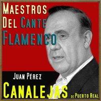 Los Gitanillos del Puerto (Soleá) - Canalejas de Puerto Real & Alfonso Salvador