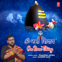 Om Namo Shivay - Sumangal Arora