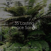 Downtempo Coffeehouse - Musique Zen Garden & Alpha Waves & Reiki Music