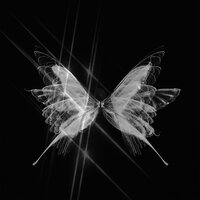 DEVOTION - NVDNESS