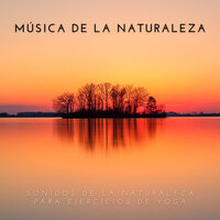 El Reino De La Naturaleza - Naturaleza Sonidos & Música De Relajación Para Dormir Profundamente & Musica Para Trabajar